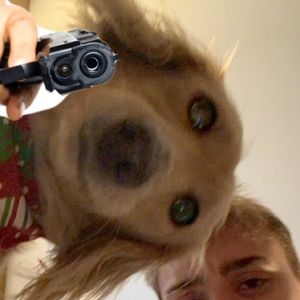 Meet your Posher, Trevor